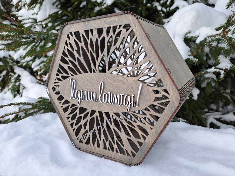 Aplokšņu kaste (pelēkzilais tonis)